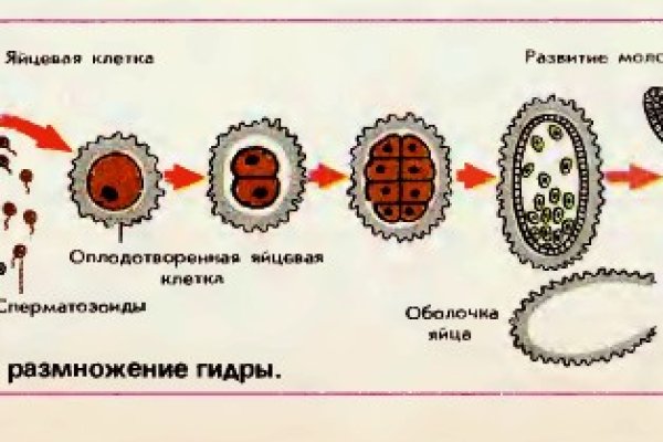 Ссылка адрес на кракен