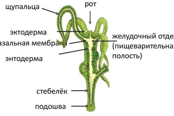 Kraken шоп kr2web in